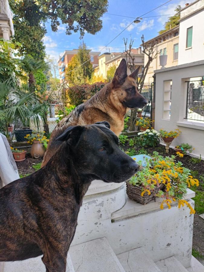Mavipagi Διαμέρισμα Βερόνα Εξωτερικό φωτογραφία